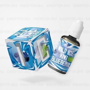 Wild Ice Cube Salt - Kiwi Berry