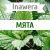 Inawera Мята