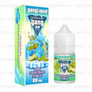Gang Ice Salt - Киви Крыжовник Помело