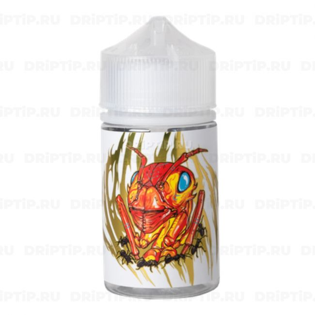 Dr Grimes - Circle Pit 80ml