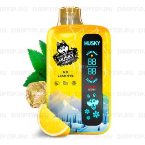 Husky Airmax Pro 20000 - No Lemints