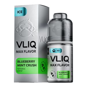 Max Flavor Ice Salt - Черника Мята