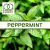 Ароматизатор TPA Peppermint